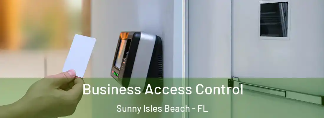 Business Access Control Sunny Isles Beach - FL