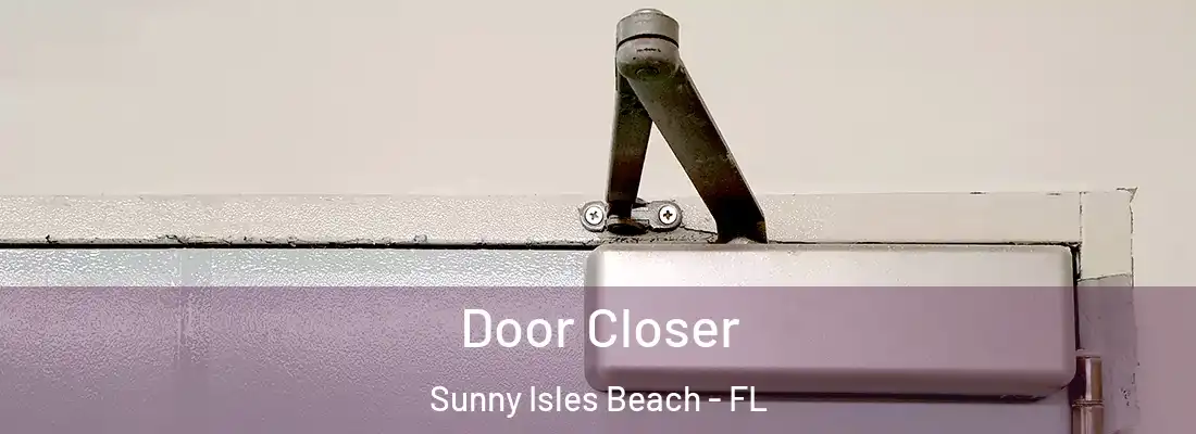Door Closer Sunny Isles Beach - FL