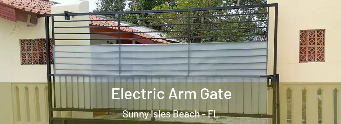 Electric Arm Gate Sunny Isles Beach - FL